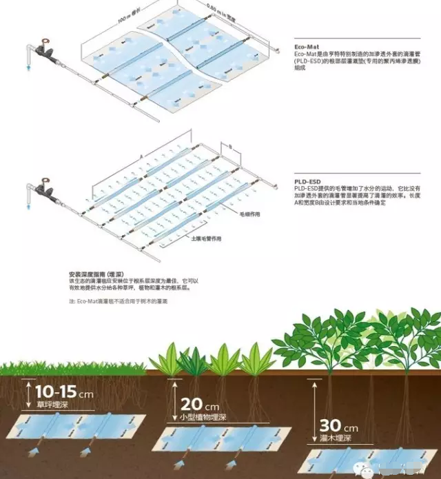 屋頂花園綠化,鄭州綠色大地,鄭州屋頂花園施工